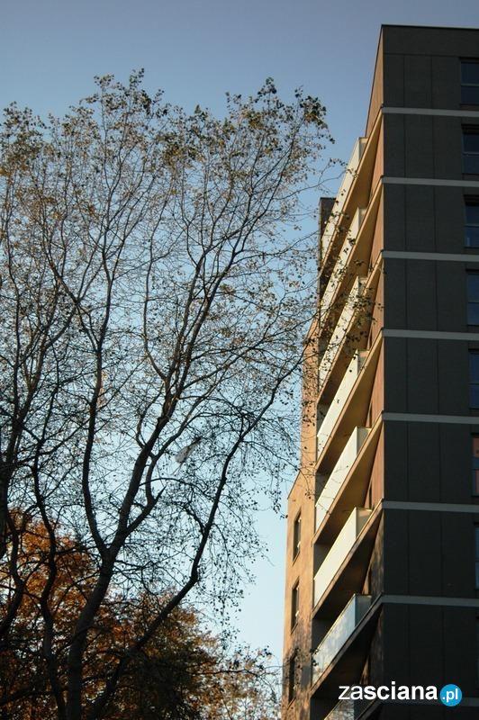 Galeria zdjęć osiedla Vermera