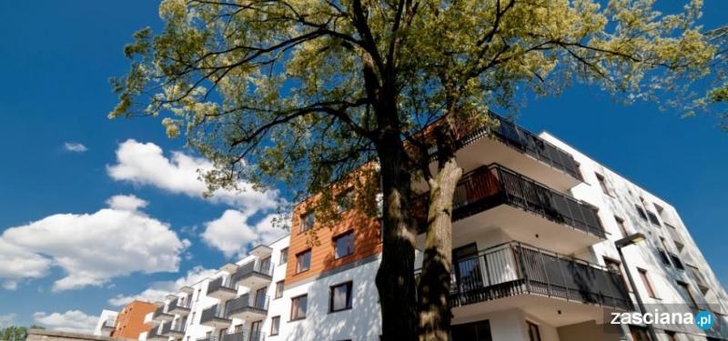 Galeria zdjęć osiedla Naturalis