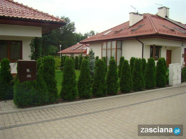 Galeria zdjęć osiedla Leśne