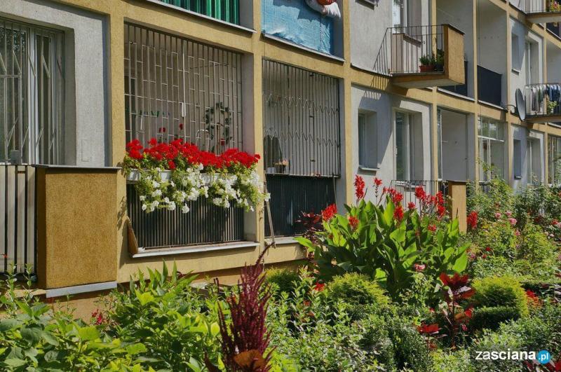 Galeria zdjęć osiedla Ugorek