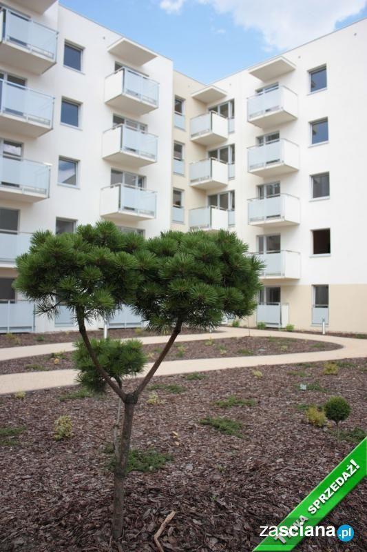 Galeria zdjęć osiedla Oaza Nad Jasieniem