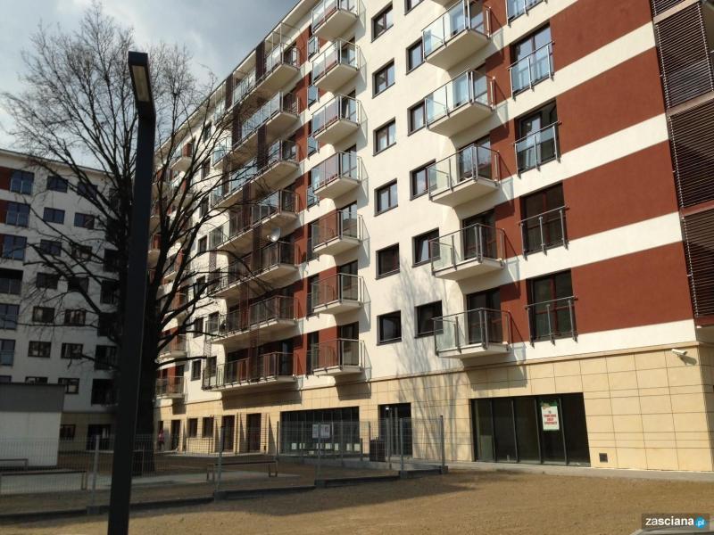 Galeria zdjęć osiedla Rua Bonita