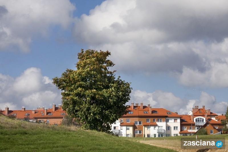 Galeria zdjęć osiedla Sokółka Zielenisz - Chwarzno